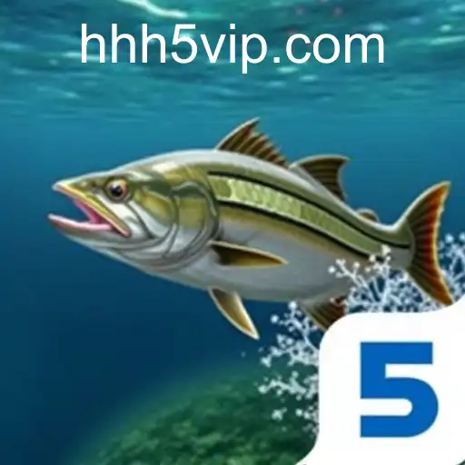 Security and Trust hhh5.com - International Licenses and Certifications